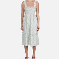 Brizo Dress