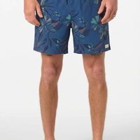 Hermosa Retro Lined 17" Volley