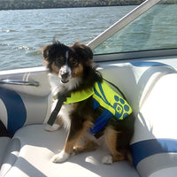 O'Brien Pet Vest Neoprene