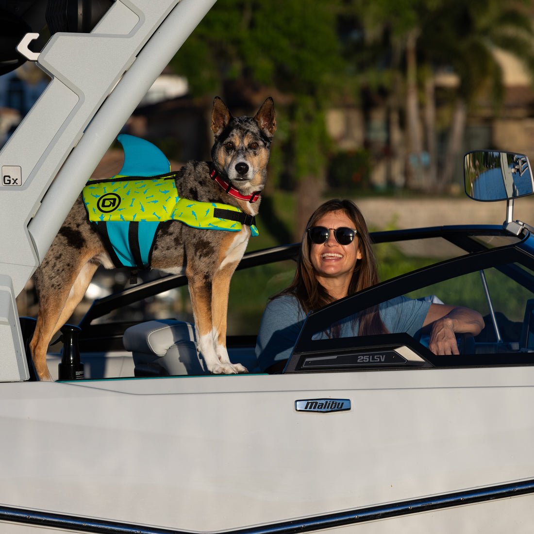 O'Brien Pet Vest - Shark Fin