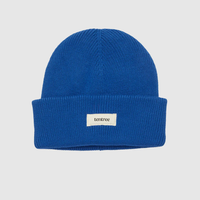 Alden Beanie