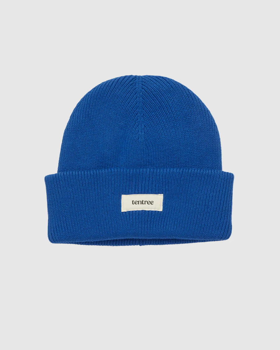 Alden Beanie