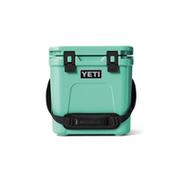 Yeti Roadie 24