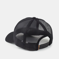 Tentree Sunset Altitude Hat