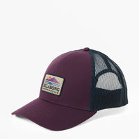 Billabong Walled A/Div Trucker Hat